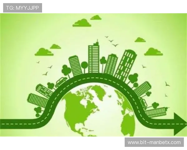 万博采票：在数字化时代下的投票平台安全保障措施