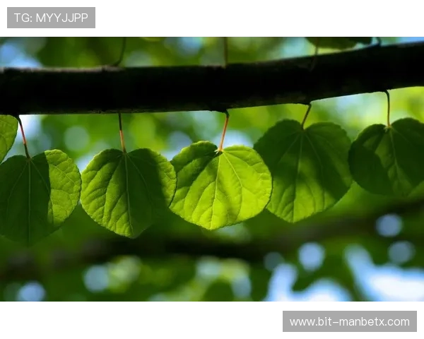 万博下载官方版安卓绿色正式版下载安装,提供极速体验和多样游戏选择 万博下载官方版安卓绿色正式版下载安装,提供极速体验和多样游戏选择