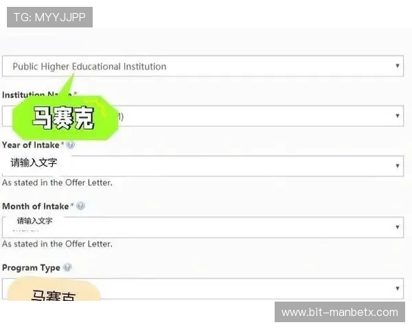 如何快速下载安装万博全站app最新版，完整流程指南助你顺利完成安装