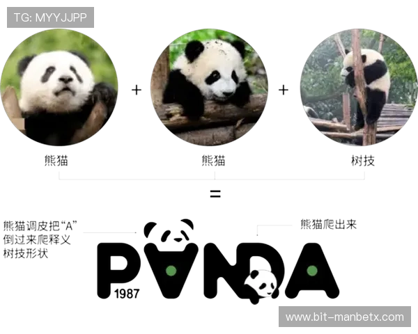 熊猫直播如何打造优质内容:内容创作与粉丝互动的最佳实践 熊猫直播如何打造优质内容:内容创作与粉丝互动的最佳实践